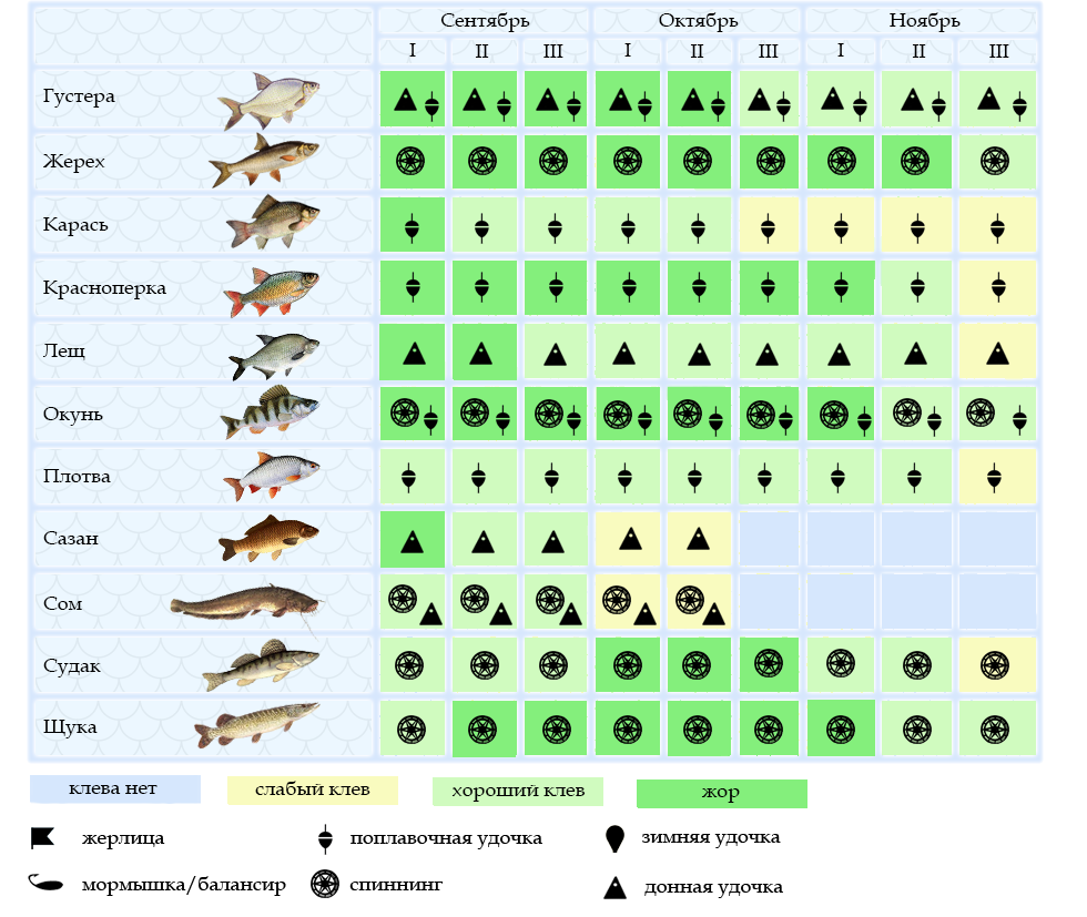 Как правильно рыбачить на донку: описание снастей и разновидности наживок, выбор мест и способов ловли