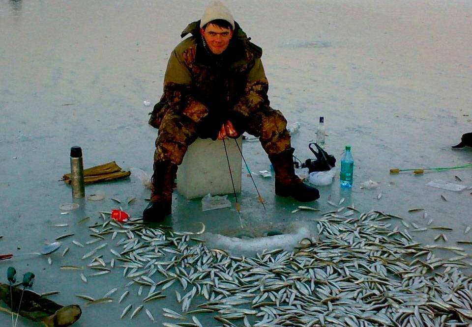Платная рыбалка в дальневосточном федеральном округе россии, каталог платных водоемов