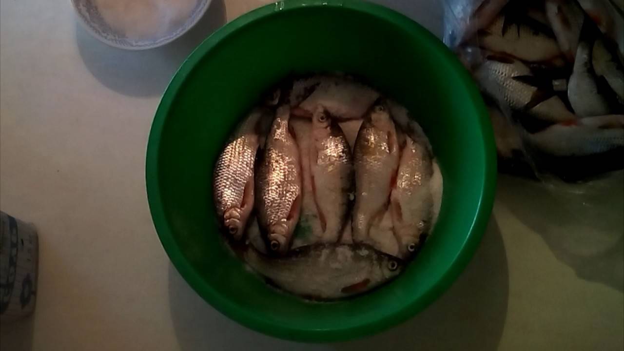 Как солить рыбу для сушки: правильно засолить, сколько длится засолка