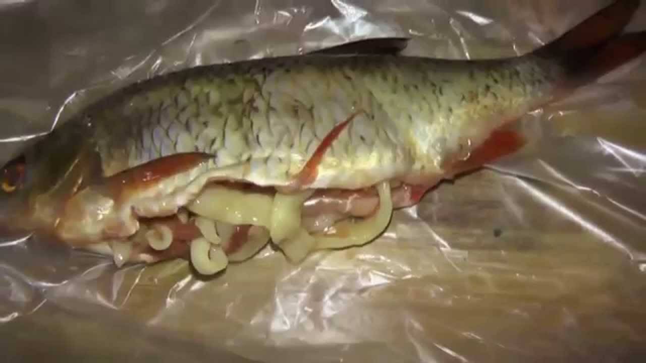 Как выглядит солитер в сушеной рыбе - здоровыесоветы