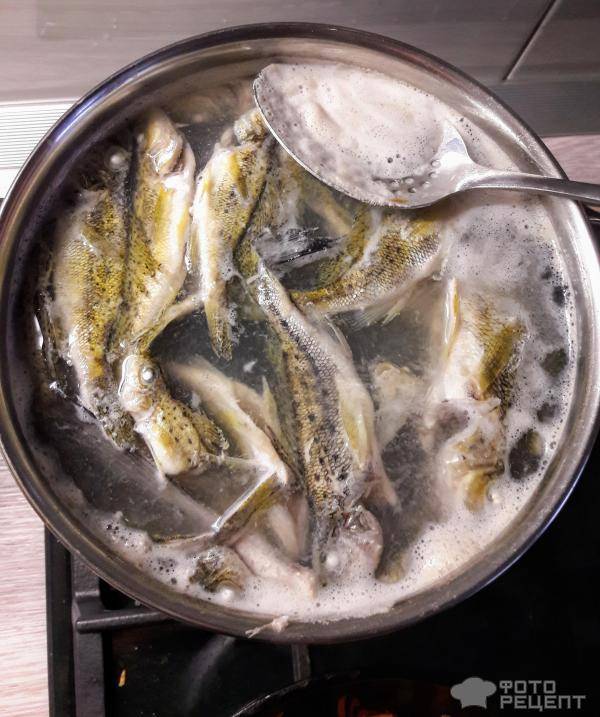 Рыбацкая уха- настоящий классический рецепт приготолвения