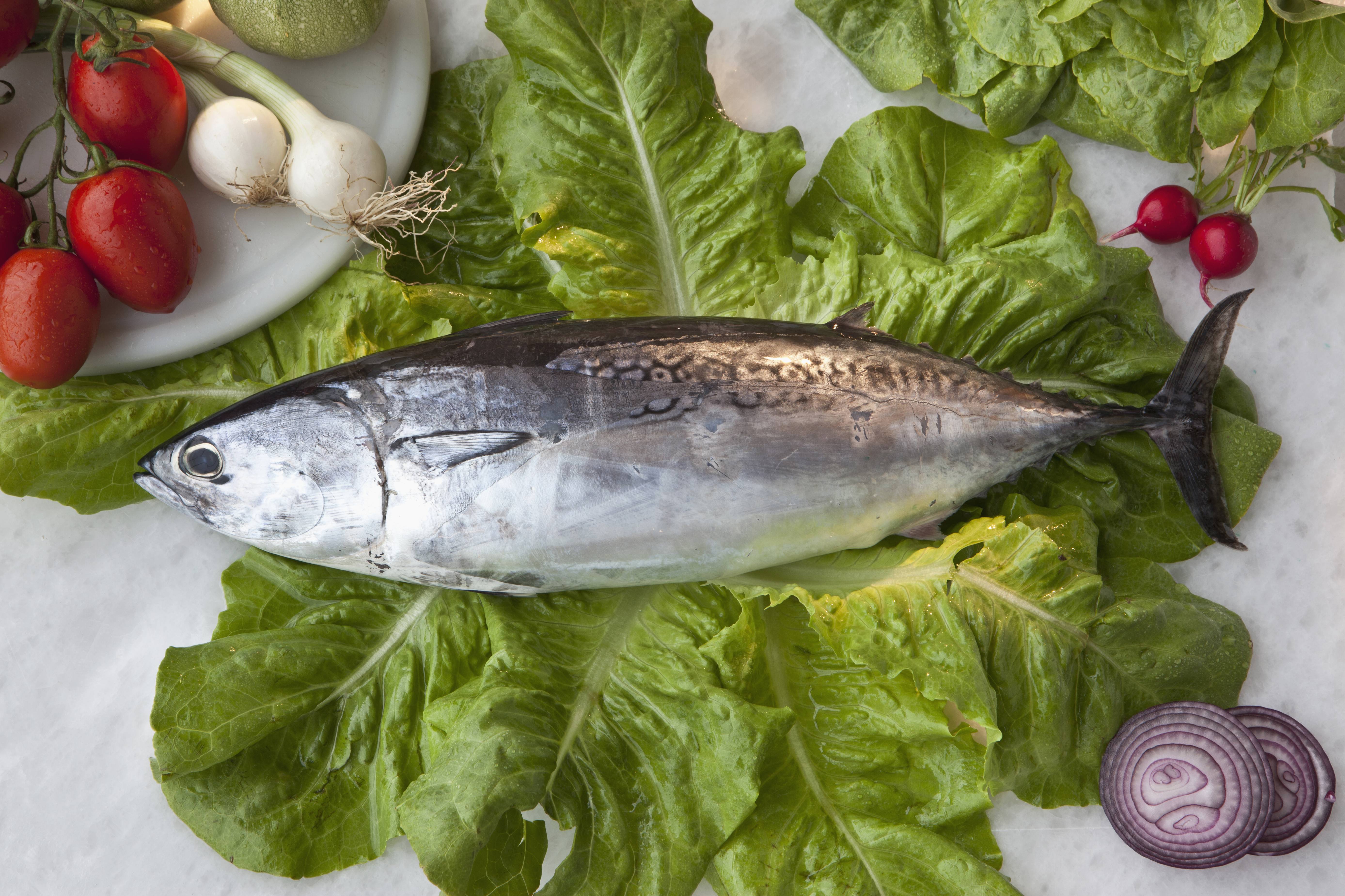 Нежирные сорта рыбы: какой продукт использовать для похудения