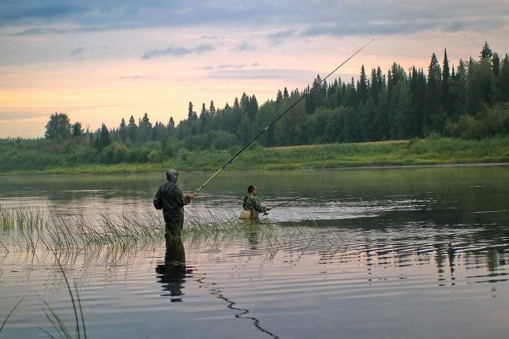 Рыбалка на волге в тверской области - особенности, лучшие места и отзывы