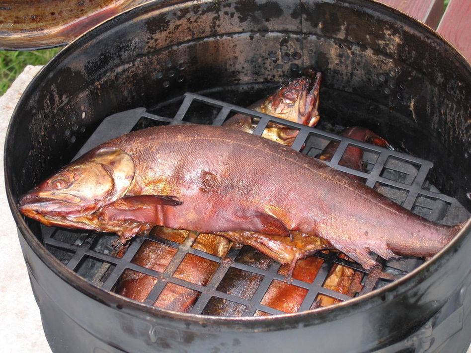 Как правильно коптить рыбу в коптильне? какую можно коптить рыбу?