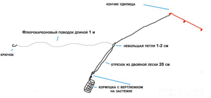 Оснастка «вертолет и два узла» для фидера, схема для ловли карпа — излагаем главное