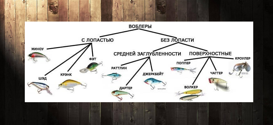 Как ловить щуку в августе на спиннинг как приготовить тесто для рыбалки