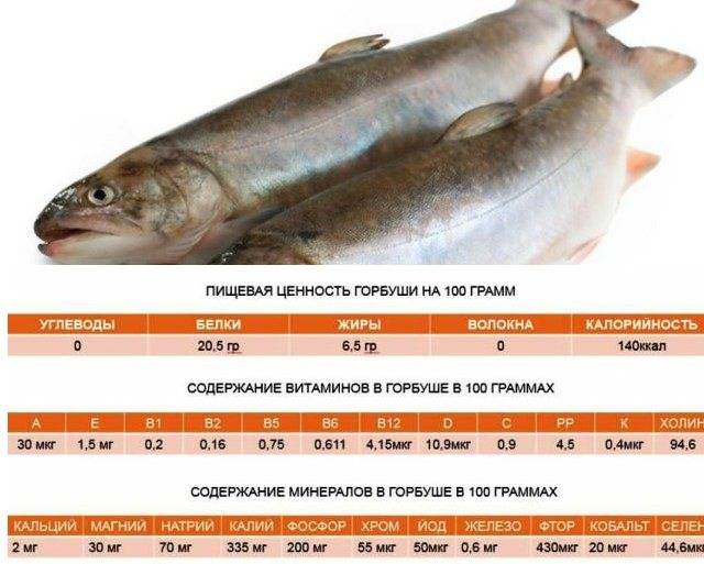 Рыба горбуша: калорийность на 100 грамм, польза, вред, витамины, минералы – хорошие привычки