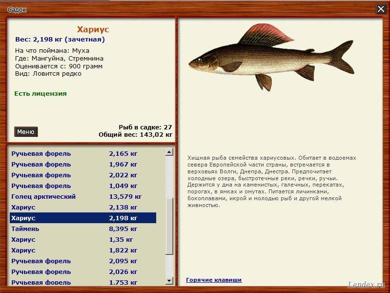 Рыбалка на оке в серпуховском районе