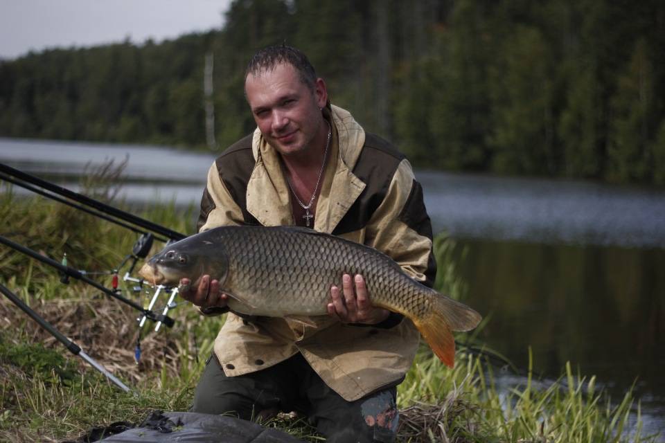 15 лучших рыболовных мест в ульяновской области. бесплатные и платные | животный мир