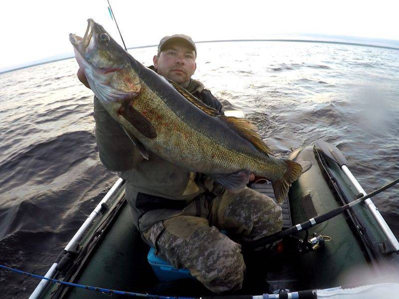 ᐉ рыбалка на рыбинском водохранилище - ✅ ribalka-snasti.ru