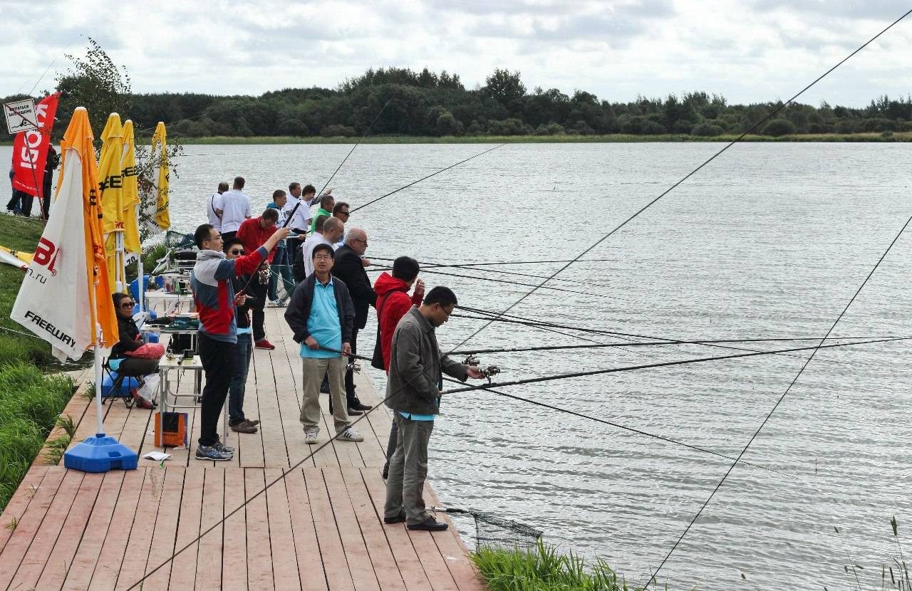 База отдыха «царская рыбалка» в кипени: какая рыба водится, услуги, особенности ловли
