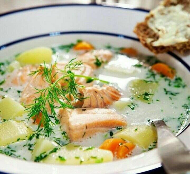 Уха из лосося: 6 рецептов супа из головы и хоста в домашних условиях