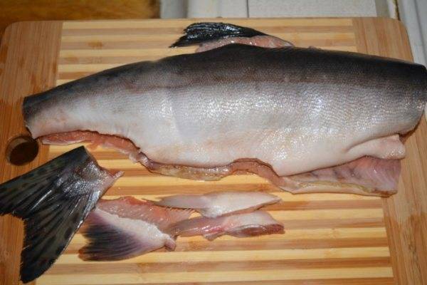 Горбуша: описание рыбы, места обитания, образ жизни, способы ловли, гастрономическая ценность и калорийность