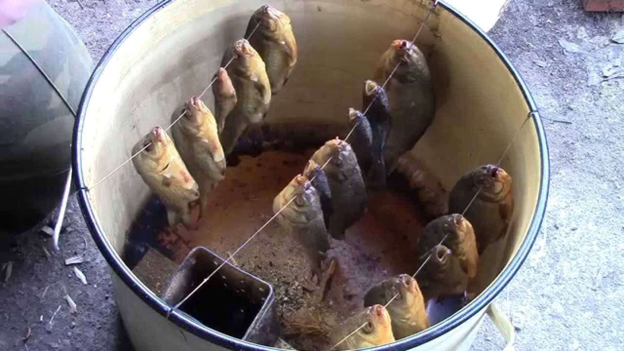 Как коптить рыбу в коптильне горячего копчения в домашних условиях?