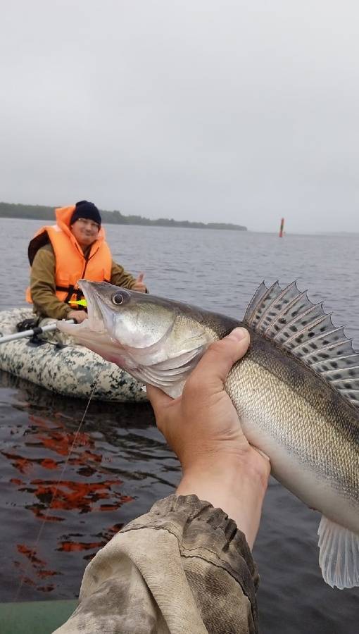 Северная двина — место для рыбака