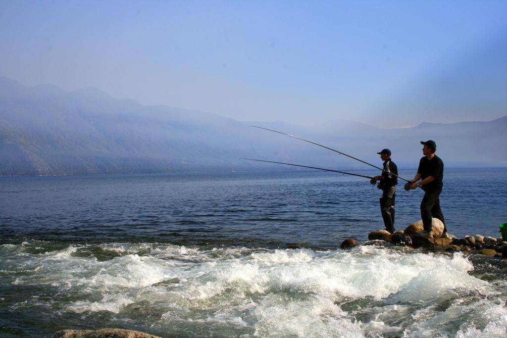 Телецкое озеро – лучшая рыбалка на алтае - рыбалка в россии и по всему миру - fishers-spb.ru