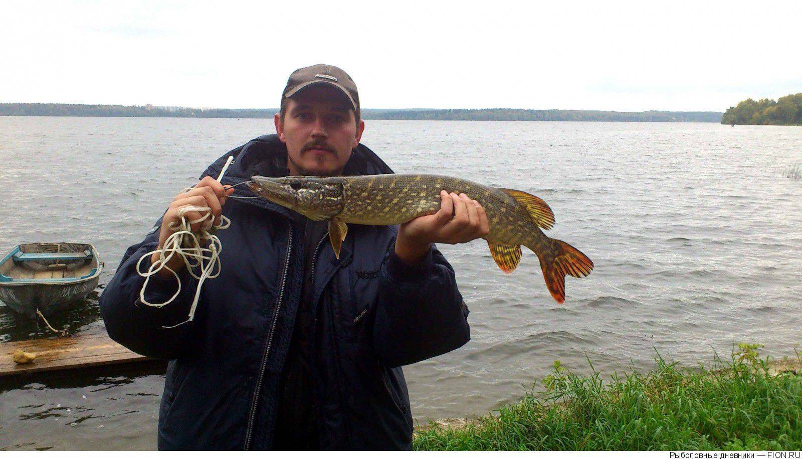 ᐉ сенежское озеро - место для рыбака - ✅ ribalka-snasti.ru