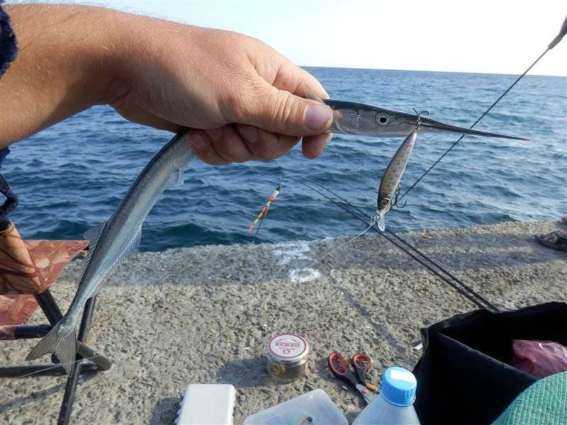 Спиннинг для морской рыбалки с берега - все нюансы