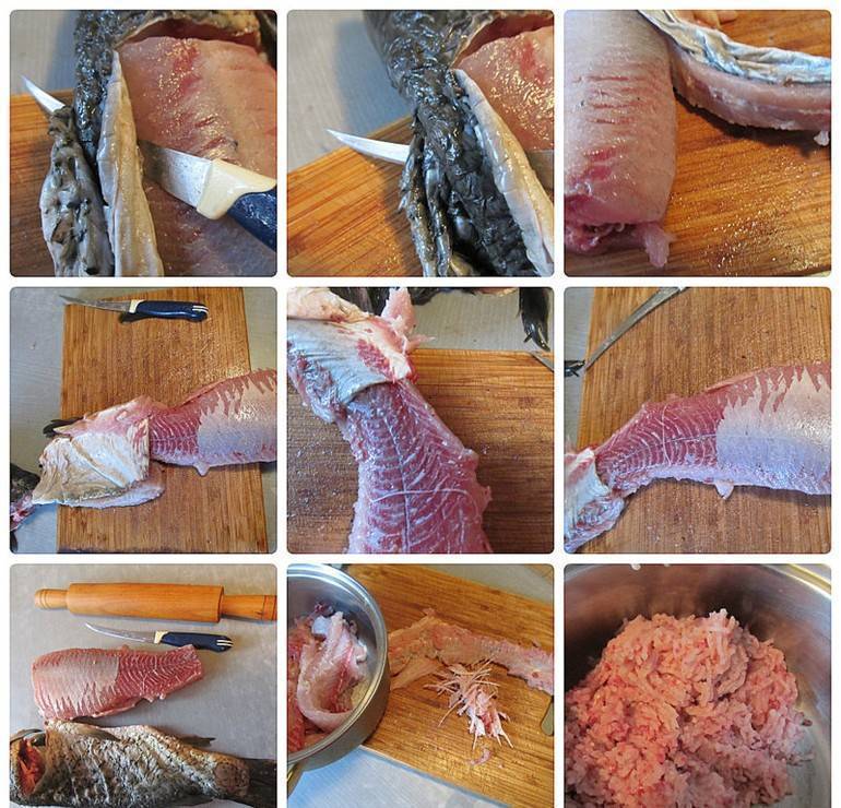 ✅ как снять шкуру с замороженной щуки. фаршированная рыба: как правильно снять кожу со щуки - sundaria.su