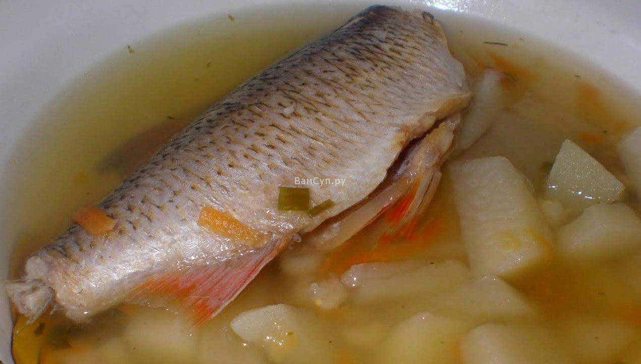 Уха из речной рыбы — пошаговый рецепт с фото
