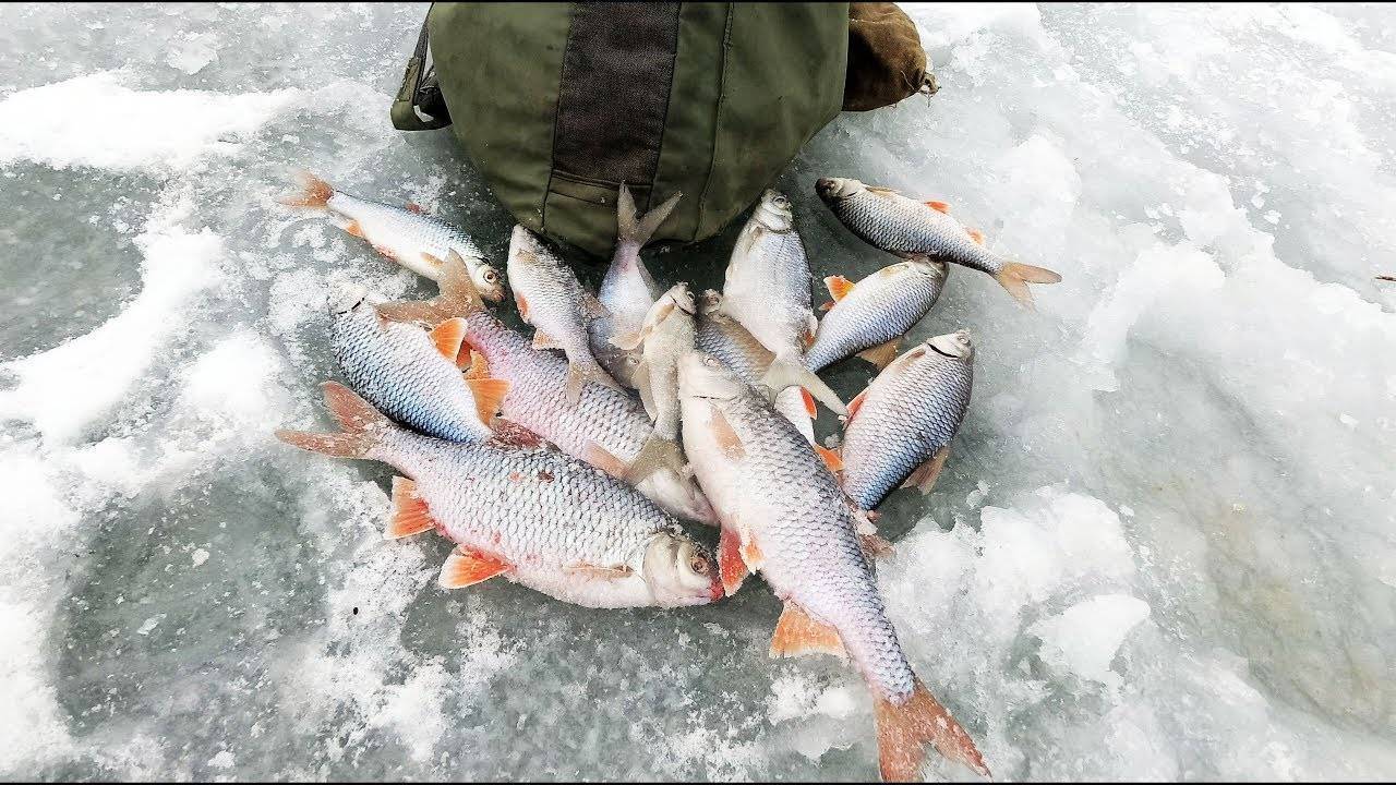 ᐉ рыбалка в рязанской области - ✅ ribalka-snasti.ru