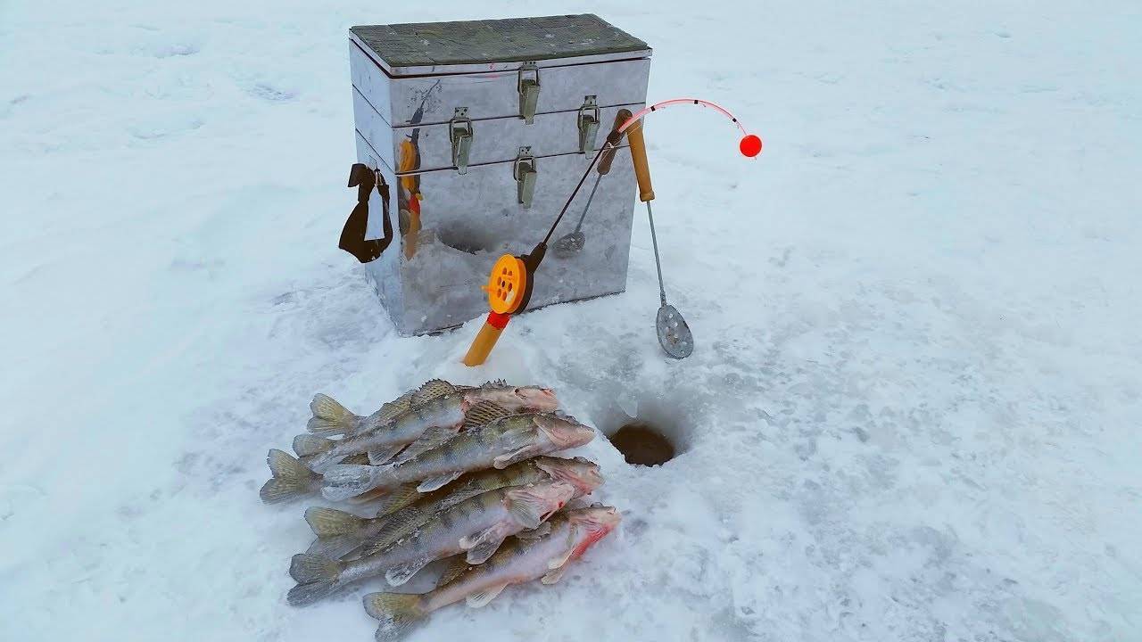 Ловля судака зимой на тюльку видео