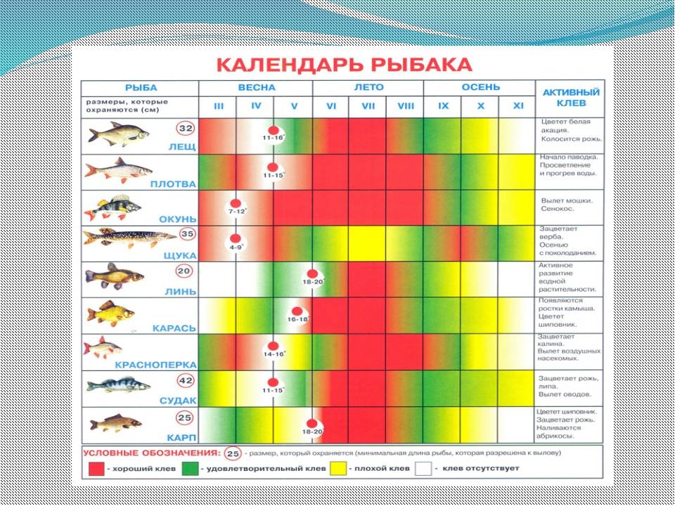Лунный рыболовный календарь рыбака и клева рыбы на 2022 год: таблица. благоприятные и неблагоприятные дни для рыбалки и клева в 2022 году по лунному календарю