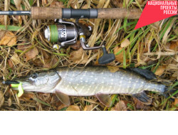 Обзор платных прудов в саратовской области – интернет-журнал о рыбалке