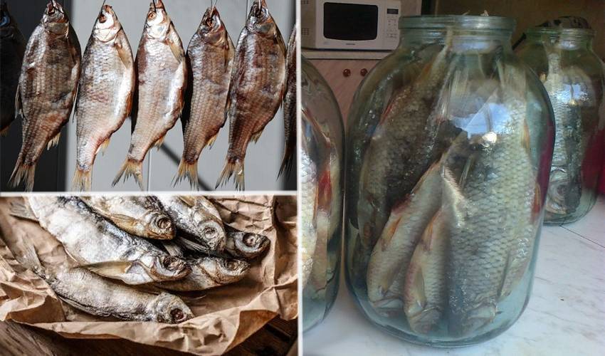 Как солить и сушить рыбу: простые правила и рецепты