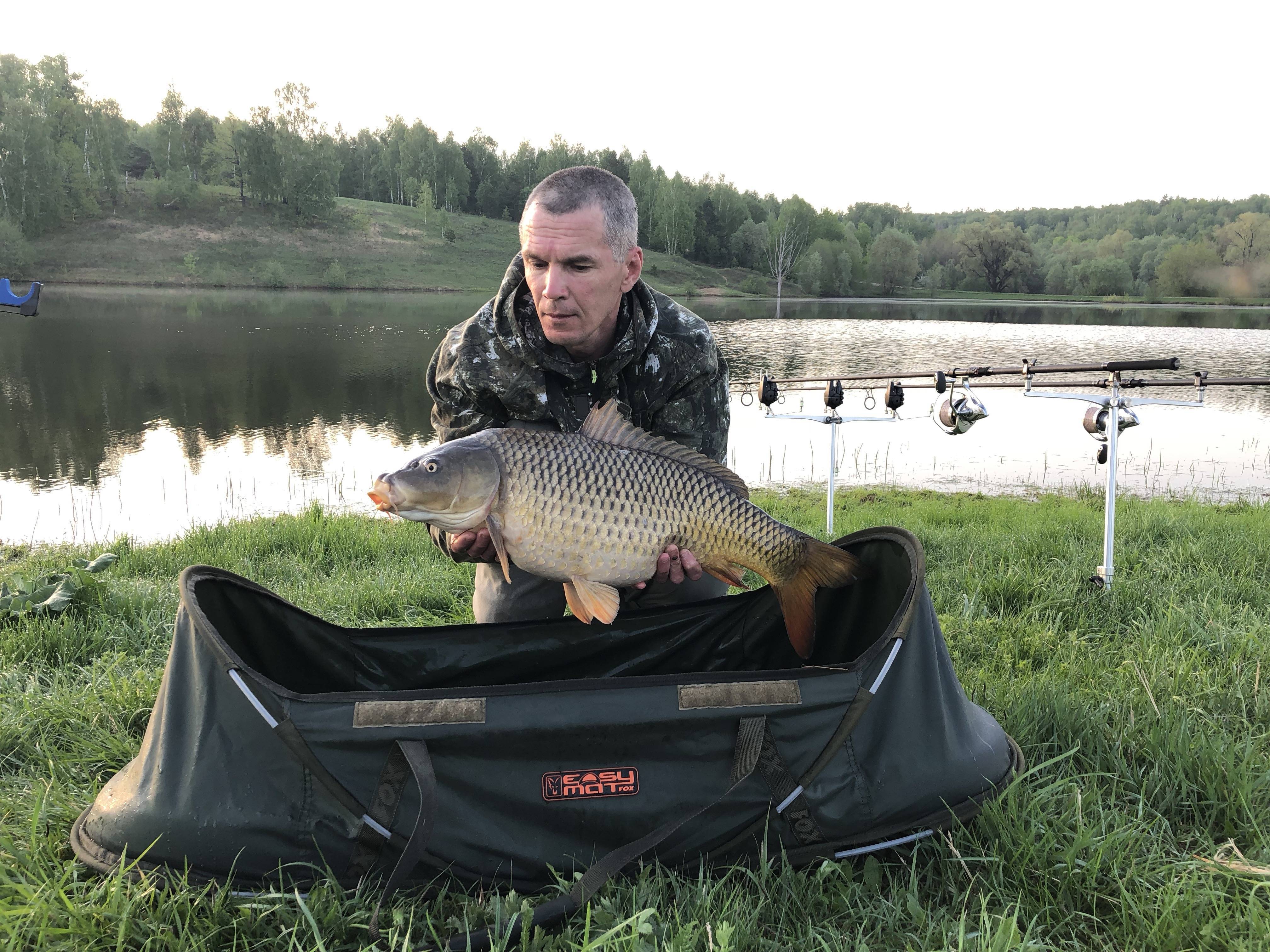 Рыбалка в ульяновской области и в ульяновске в 2018 году