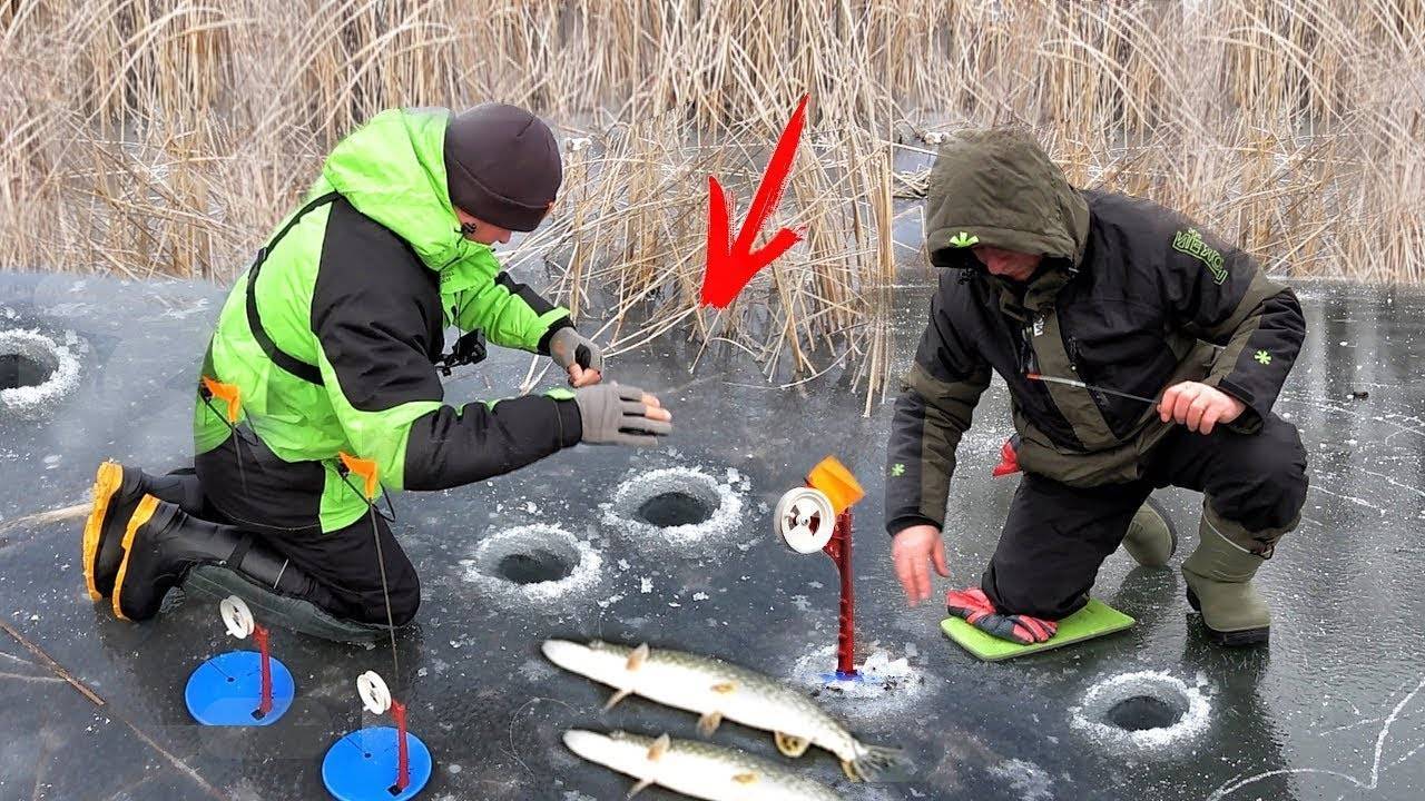 Ловля щуки зимой: где искать рыбу, снасти и тактика