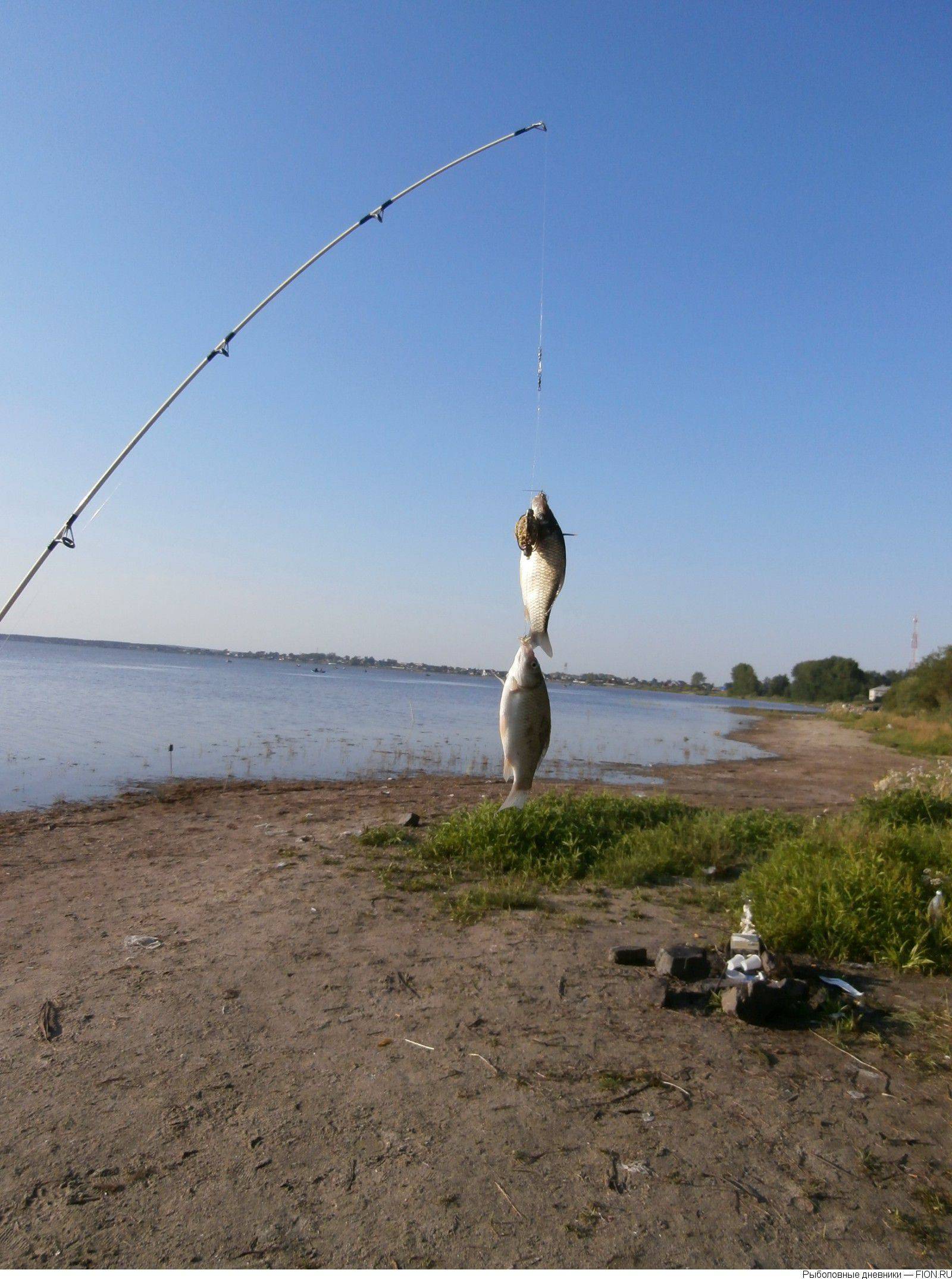 Озеро щелкун (щелкунское). рыбалка в 2021 году, отдых, отзывы, погода. отели рядом, фото, видео, как добраться — туристер. ру