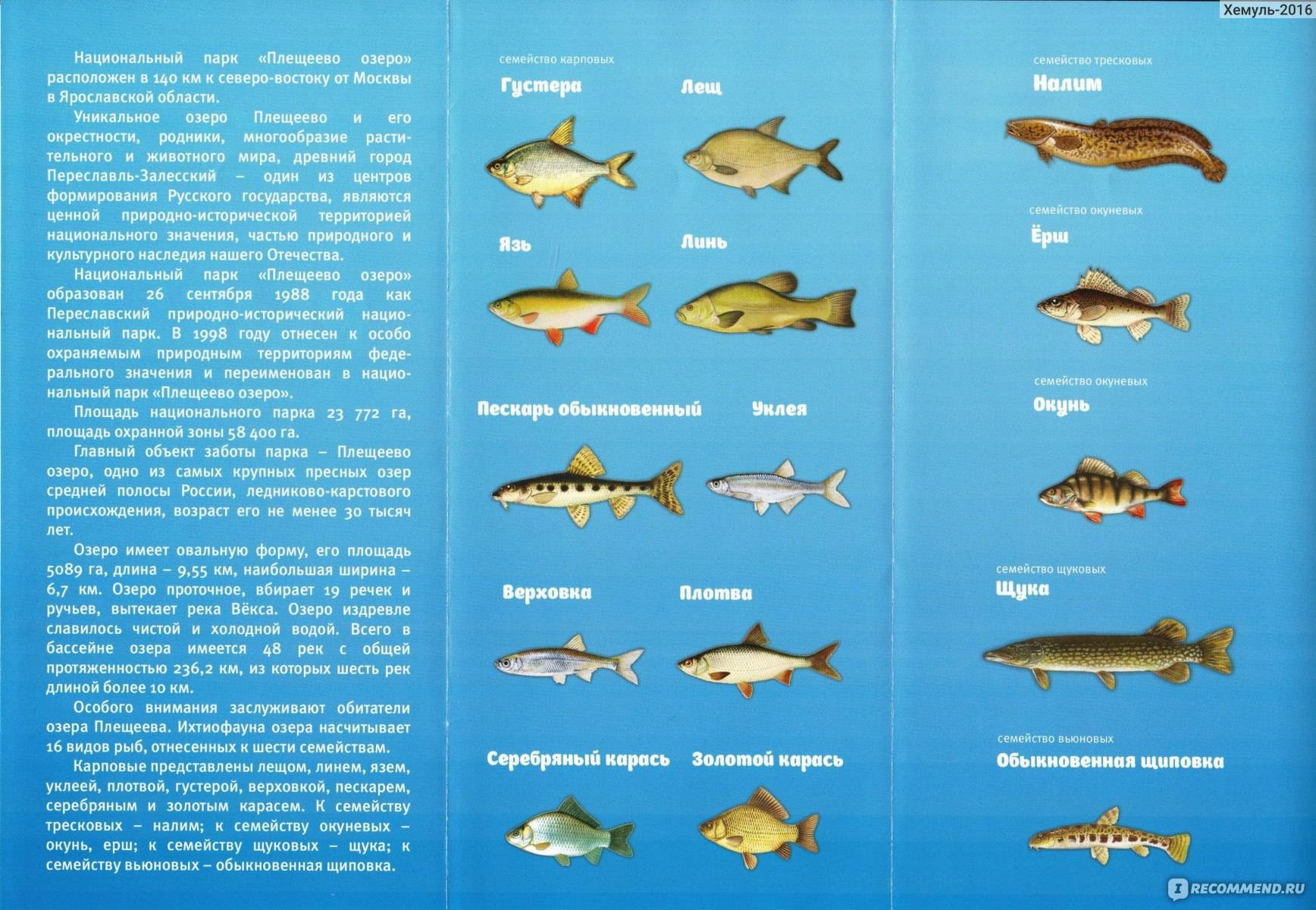 Рыбалка в ярославской области и в ярославле