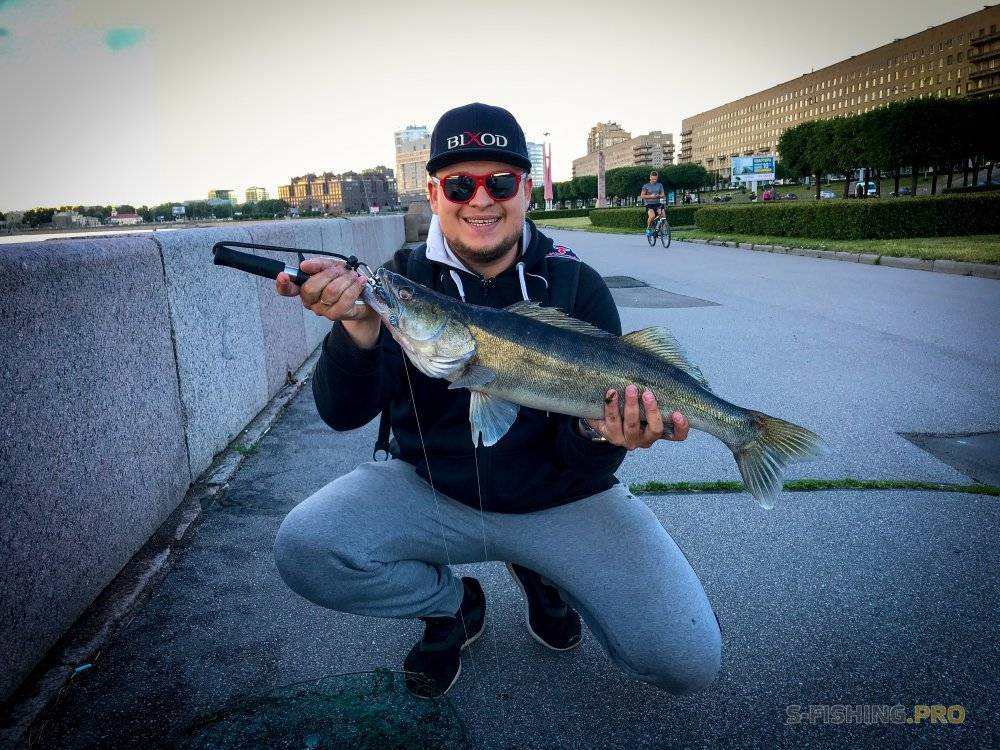 Озера для рыбалки в ленинградской области - популярные платные и бесплатные места, отзывы