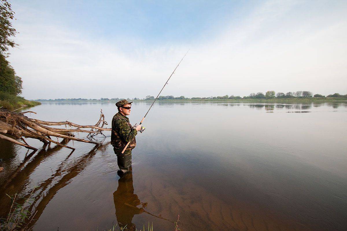 Лучшие места для рыбалки в пензенской области, рыбалка на суре