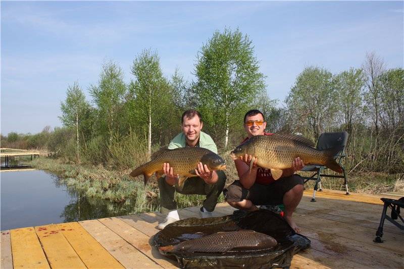 Рыбалка во владимирской области - читайте на сatcher.fish
