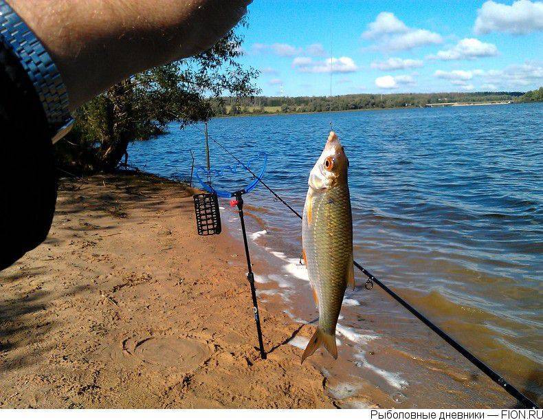Рыбалка на озернинском водохранилище платно