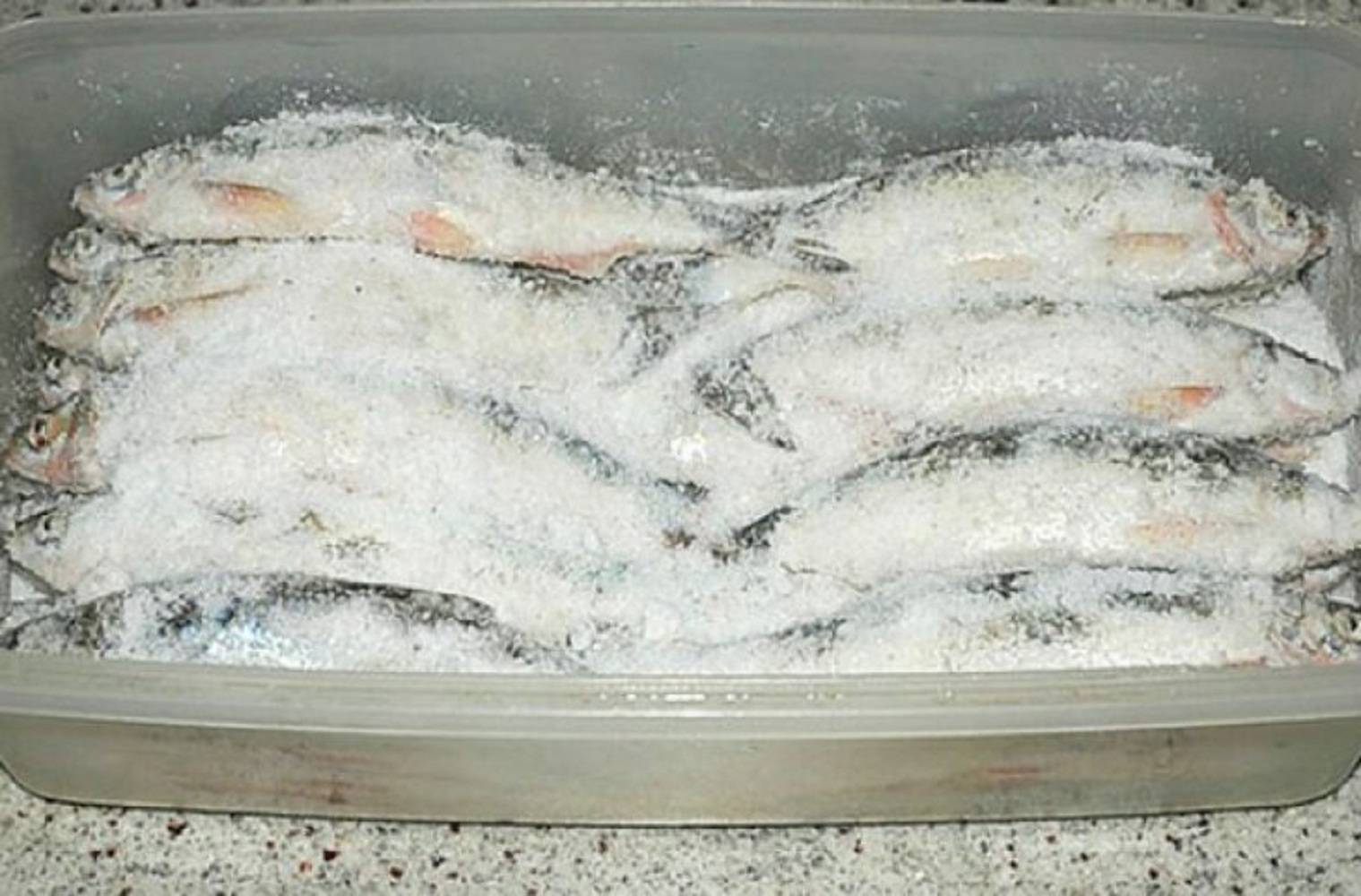 Как сушить рыбу в домашних условиях летом,зимой и осенью