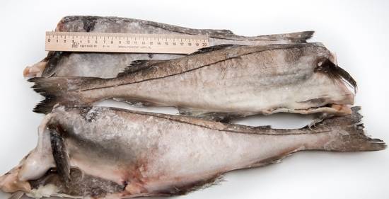 Пикша рыба. образ жизни и среда обитания рыбы пикша | животный мир