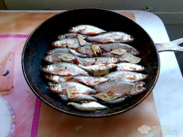 Как сделать консервы из речной рыбы в домашних условиях