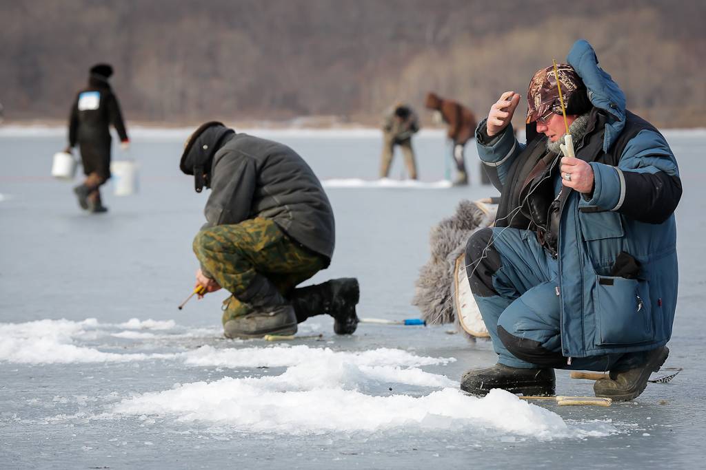 Правила рыбалки: что, где и в каком количестве можно добывать рыболовам-любителям в приморье – новости владивостока на vl.ru