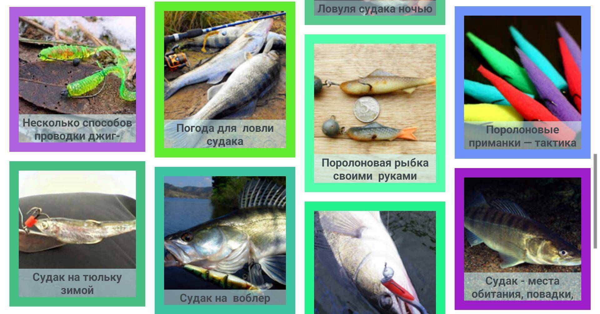Судак: рыба судак фото и описание, нерест, способы ловли, образ жизни, приманки, прикормки, блюда из судака
