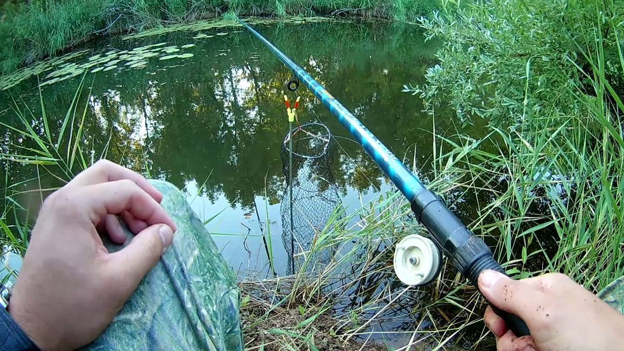 ᐉ рыбалка на линя поплавочной удочкой: сбор снасти и поиск перспективных мест - ✅ ribalka-snasti.ru