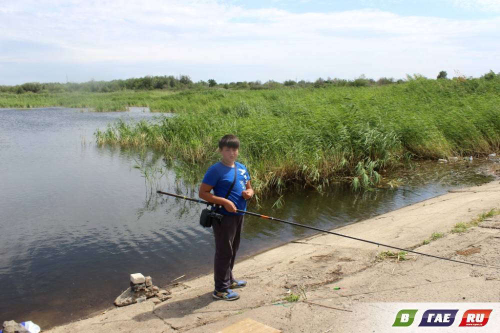 Рыбалка в ростовской области: обзор водоемов, платная и бесплатная ловля