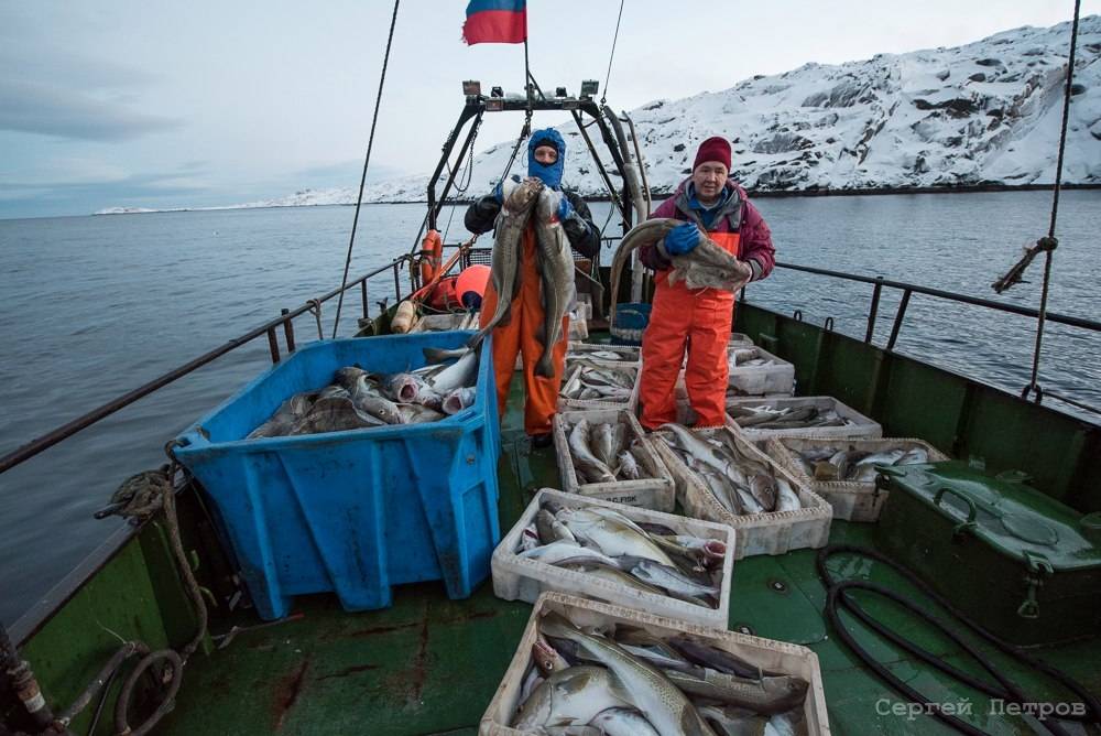 Рыбалка на баренцевом море: особенности морской ловли, какая рыба водится