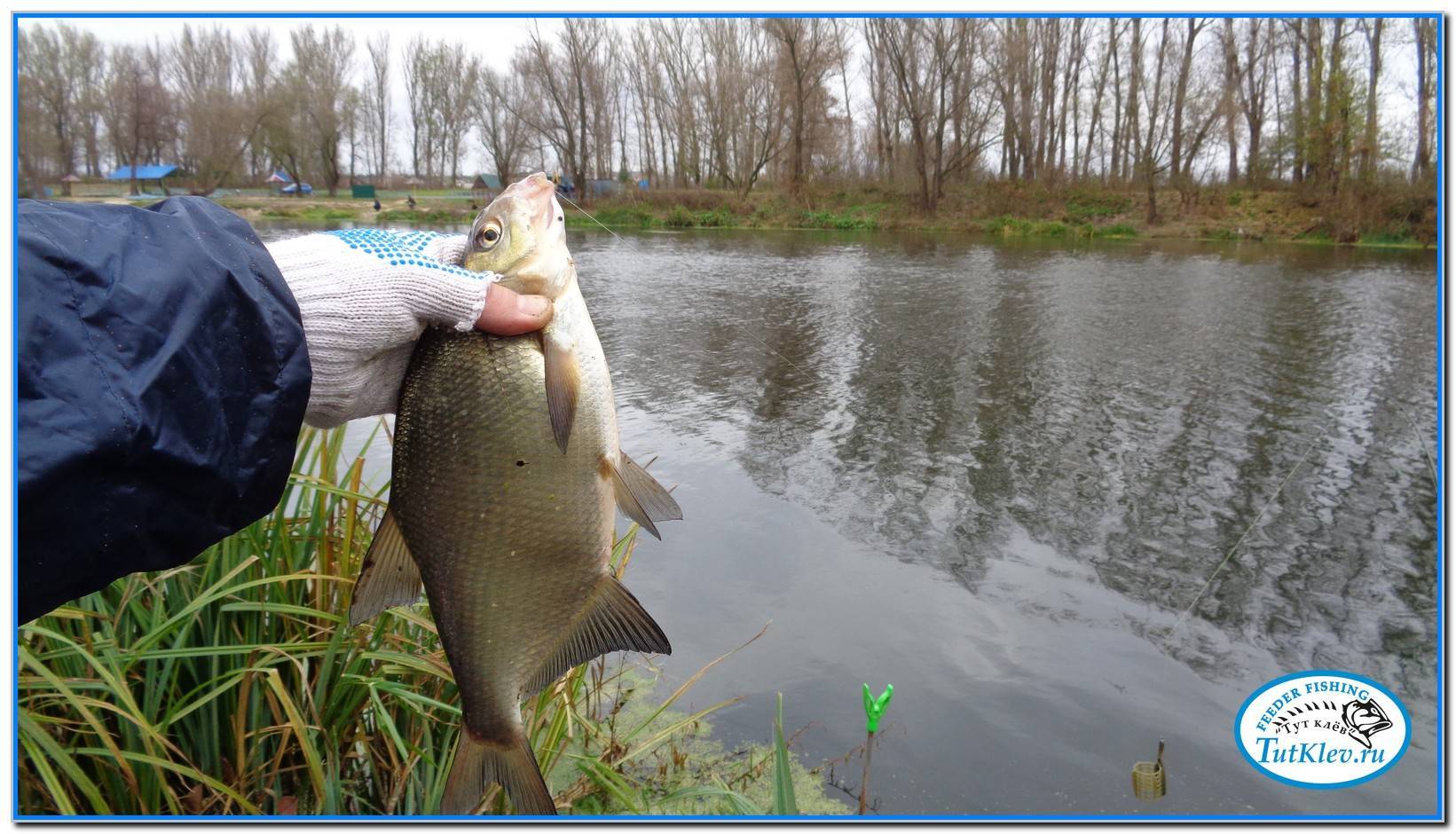 Рыбалка в кузькино белгородской области: лучшие места для ловли, какая рыба водится