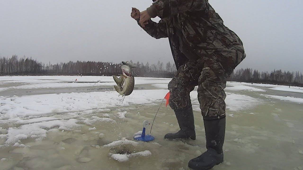 Секреты рыбалки по первому льду