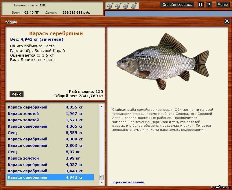 Карп: описание, распространение, образ жизни и способ ловли - fishingwiki