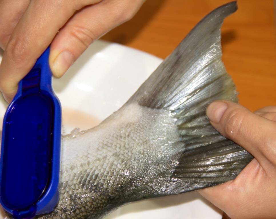 Как быстро почистить рыбу от чешуи в домашних условиях