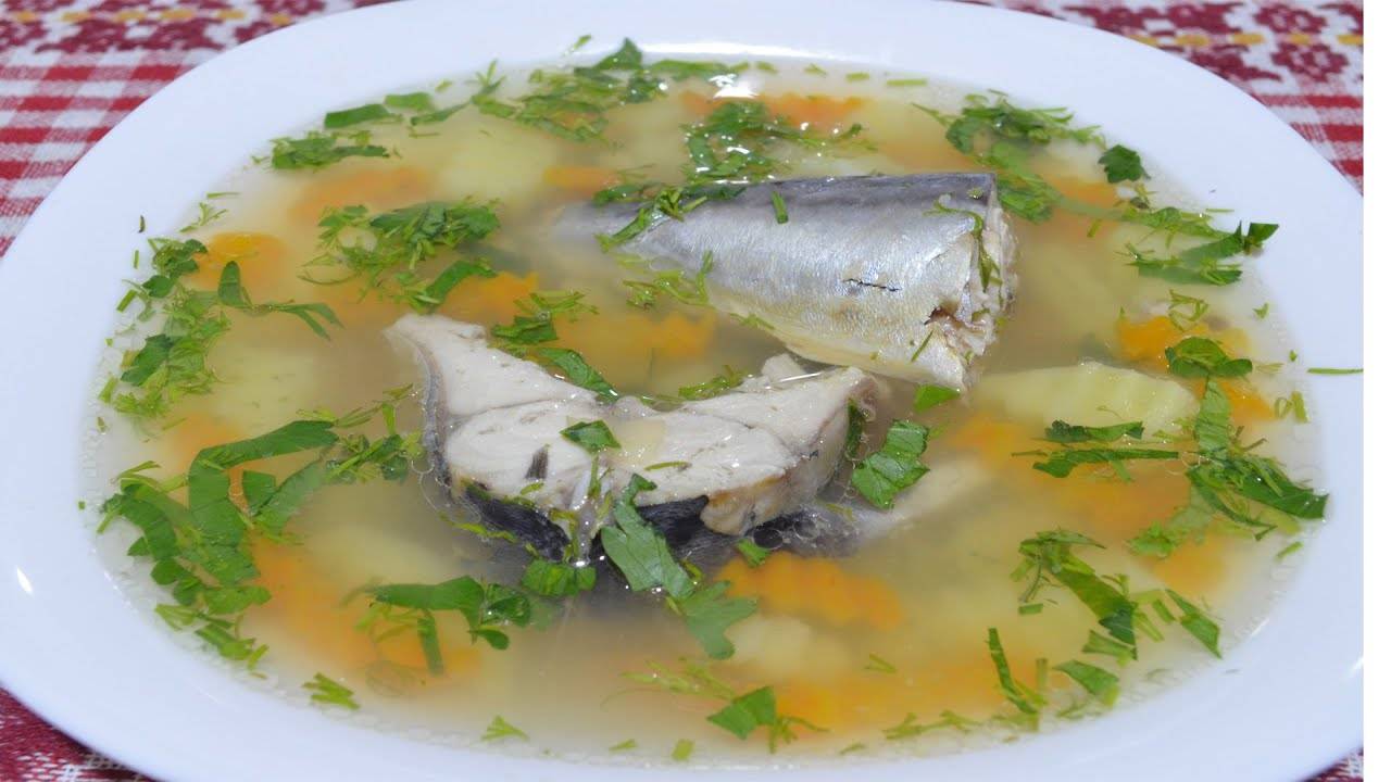 Суп из скумбрии свежемороженой, рецепты с фото. как правильно приготовить суп из скумбрии